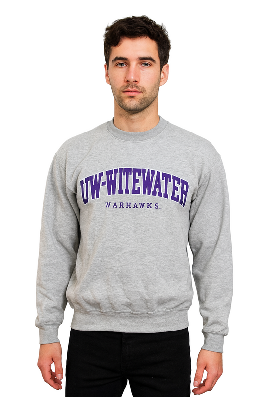 Vintage Champion UW-Whitewater Sweatshirt Small - Grey