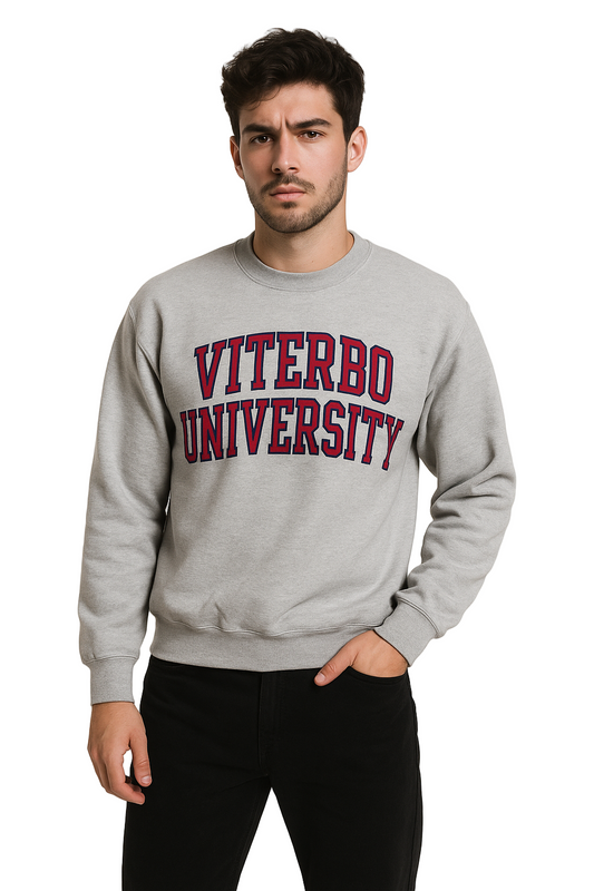Vintage Champion Viterbo University Sweatshirt – Grey Medium